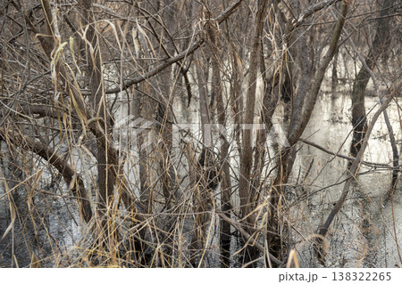 Nakdong River Bicycle Path Nakdong River Bicycle Path 138322265