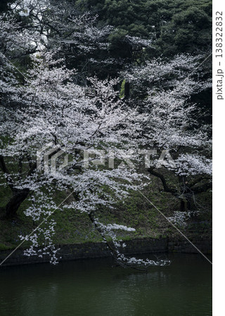 春の九段下　田安門付近の風景　3月 138322832