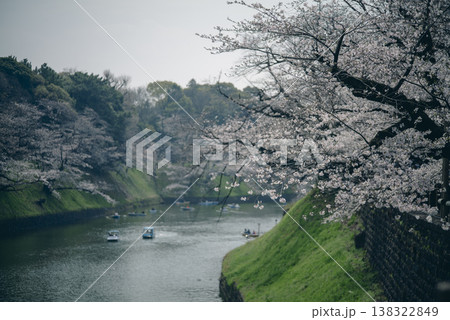 春の九段下 田安門付近の風景 3月 春の九段下 田安門付近の風景 3月 138322849