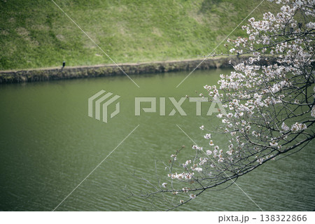 春の九段下　田安門付近の風景　3月 138322866