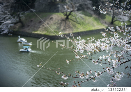 春の九段下 田安門付近の風景 3月 春の九段下 田安門付近の風景 3月 138322884