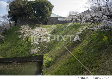 春の九段下 田安門付近の風景 3月 春の九段下 田安門付近の風景 3月 138322892