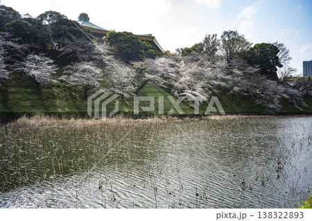 春の九段下　田安門付近の風景　3月 138322893