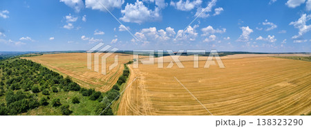 Aerial landscape view of yellow cultivated agricultural field with dry straw of cut down wheat after harvesting 138323290