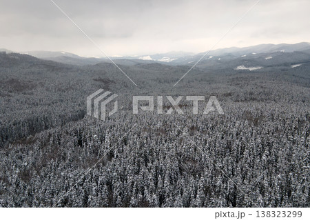 Aerial foggy landscape with evergreen pine trees covered with fresh fallen snow after heavy snowfall in winter mountain forest on cold quiet evening. Aerial foggy landscape with evergreen pine trees covered with fresh fallen snow after heavy snowfall in winter mountain forest on cold quiet evening. 138323299