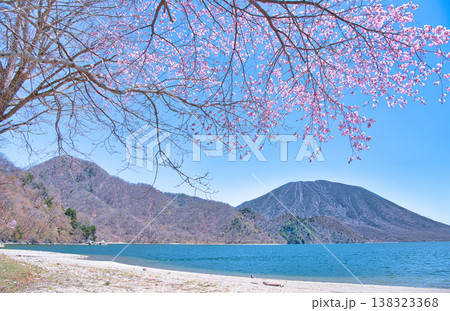 栃木県日光市　千手ヶ浜から観る満開の桜と中禅寺湖と男体山 138323368