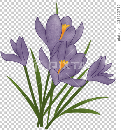 purple flower illustration purple flower illustration 138323719
