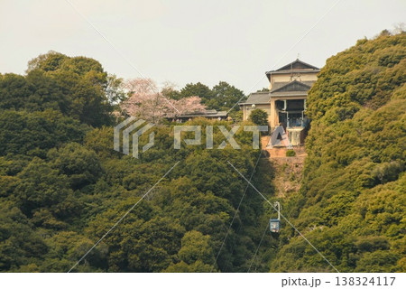 桜咲く岩国城山ロープウェイ 138324117