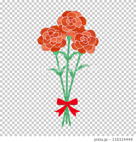 水彩風　赤いカーネーションの三輪イラスト 母の日のシンプルなフラワー素材 138324449