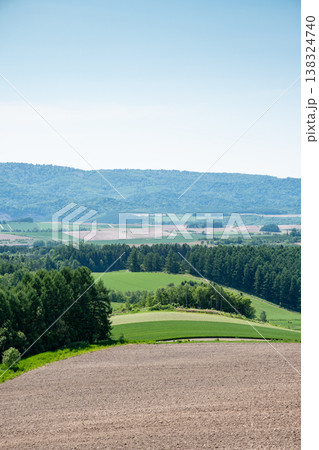 土の畑と緑の畑がある丘陵地帯の風景 138324740