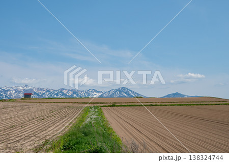 春の畑と残雪の山並み　十勝岳連峰 138324744