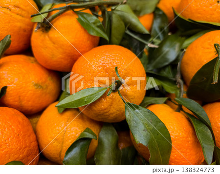 Fresh organic tangerines or mandarins close-up with green leaves at market Fresh organic tangerines or mandarins close-up with green leaves at market 138324773
