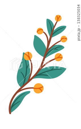 Berry twig with round fruit and broad leaves on a curved stem in cartoon style Berry twig with round fruit and broad leaves on a curved stem in cartoon style 138325034