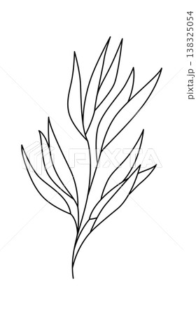 Leaf branch with elongated leaves drawn in clean continuous stroke on white background Leaf branch with elongated leaves drawn in clean continuous stroke on white background 138325054