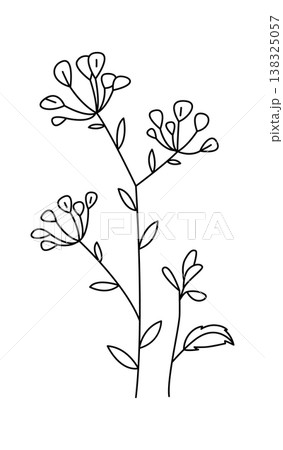 Botanical stem with thin branches, teardrop buds, and leaves drawn in clean line art Botanical stem with thin branches, teardrop buds, and leaves drawn in clean line art 138325057