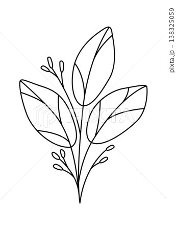 Leaf branch with three large leaves and small buds drawn in clean contour strokes 138325059