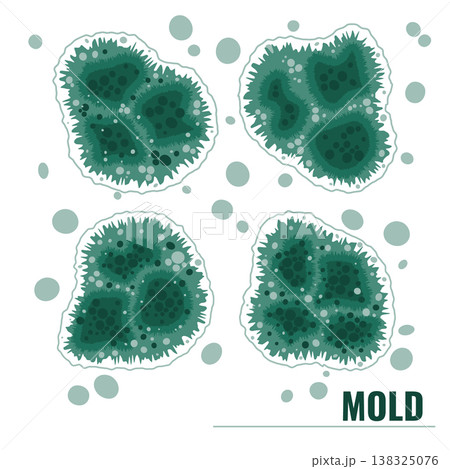 Set of vector illustrations showing green mold and mildew growth. Fungal spores bundle. 138325076