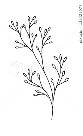 Delicate twig branch with thin stems and small buds drawn in clean contour lines Delicate twig branch with thin stems and small buds drawn in clean contour lines 138325077