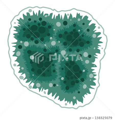 Green mold fungus growth illustration Green mold fungus growth illustration 138325079