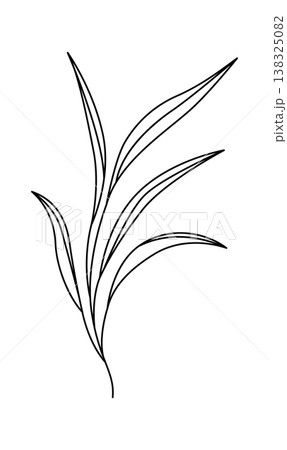 Leaf stem with long narrow blade and clean contour line style on white background 138325082