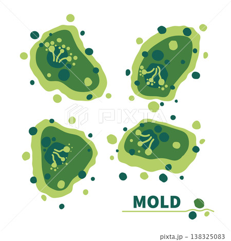 Green fungus spores growth vector illustration set 138325083