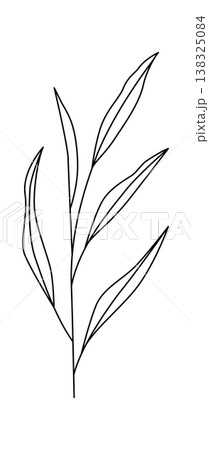 Leaf stem with long narrow foliage drawn as a clean contour line 138325084