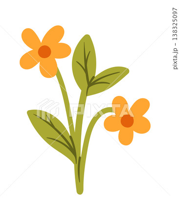Flower pair on one stem with broad leaves and round centers in a bold cartoon style 138325097