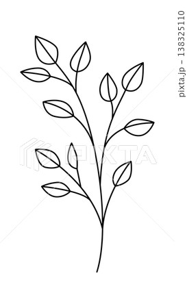Leaf branch with slender stem and outlined leaves in clean line art style Leaf branch with slender stem and outlined leaves in clean line art style 138325110