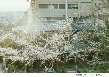 Sakura cherry blossoms 138325282