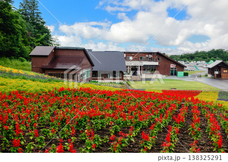 たんばらラベンダーパークに広がる花畑の風景 たんばらラベンダーパークに広がる花畑の風景 138325291