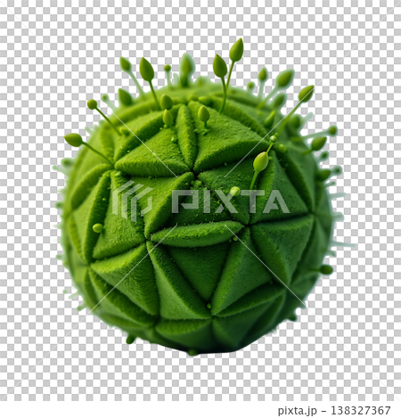 A vibrant green textured sphere adorned with small budding sprouts against a transparent background. A vibrant green textured sphere adorned with small budding sprouts against a transparent background. 138327367