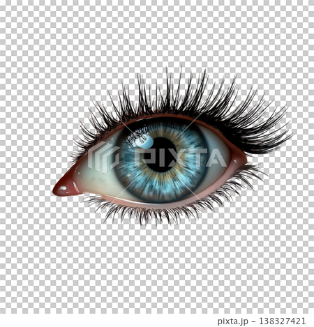 Detailed human blue eye with long black eyelashes and realistic iris reflection on surface. 138327421