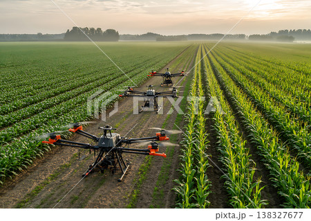 Agricultural drones applying treatment to young corn plants in morning Agricultural drones applying treatment to young corn plants in morning 138327677