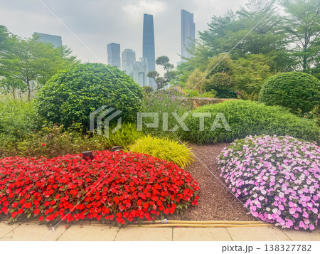 Vibrant red and purple blooms frame a lush Guangzhou urban garden Vibrant red and purple blooms frame a lush Guangzhou urban garden 138327782