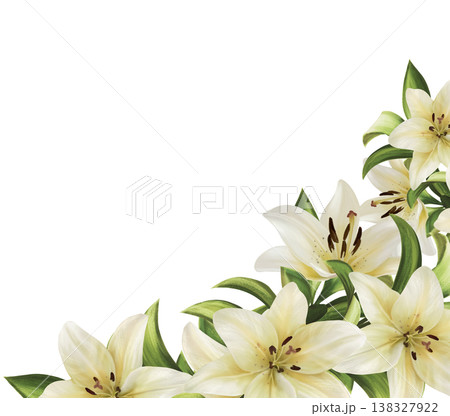 Corner floral arrangement featuring realistic white lily flowers and green leaves. Hand drawn illustration Corner floral arrangement featuring realistic white lily flowers and green leaves. Hand drawn illustration 138327922