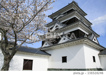 愛媛県大洲市 桜と大洲城 愛媛県大洲市 桜と大洲城 138328246