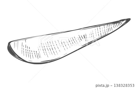 Sweet potato sketch. Vector illustration of the vegetable. A piece of unpeeled batat lies on a table. Hand drawn, imitating an engraving. Outline drawing of a yam, done in ink. Line drawing of Ipomoea Sweet potato sketch. Vector illustration of the vegetable. A piece of unpeeled batat lies on a table. Hand drawn, imitating an engraving. Outline drawing of a yam, done in ink. Line drawing of Ipomoea 138328353