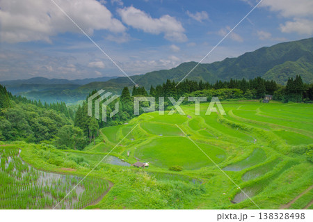 山間に広がる、うへ山の棚田(兵庫県) 山間に広がる、うへ山の棚田(兵庫県) 138328498