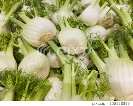 Top view of fresh organic fennel bulbs background pattern at local farmers market Top view of fresh organic fennel bulbs background pattern at local farmers market 138328899