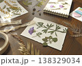 Creating botanical herbarium with pressed purple flowers and dried leaves in sketchbook. Creative workspace on wooden table with scissors, tweezers and crafting tools for DIY nature art project. 138329034