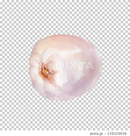 Peeled lychee fruit pulp, hand drawn watercolor illustration isolated on white background. Exotic element for tropical juice or sweets packaging 138329036