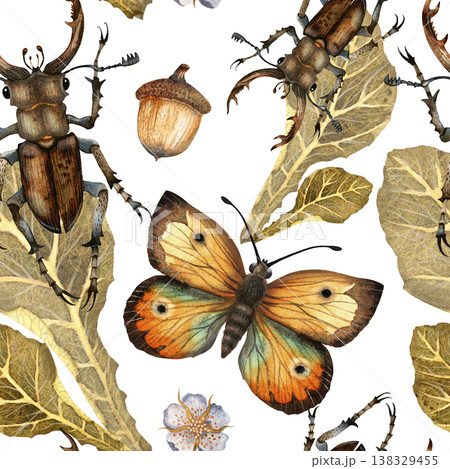 A pattern of beetles, leaves, acorns and butterflies. Watercolor pattern illustration Isolated 138329455