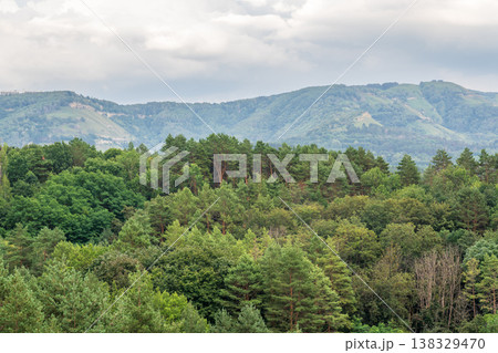 Summer Mountains Landscape with Green forest. Summer Mountains Landscape with Green forest. 138329470