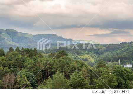 Summer Mountains Landscape with Green forest. 138329471
