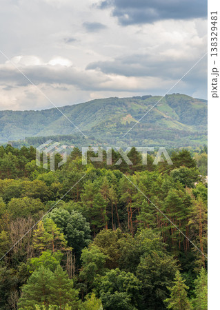 Summer Mountains Landscape with Green forest. Summer Mountains Landscape with Green forest. 138329481