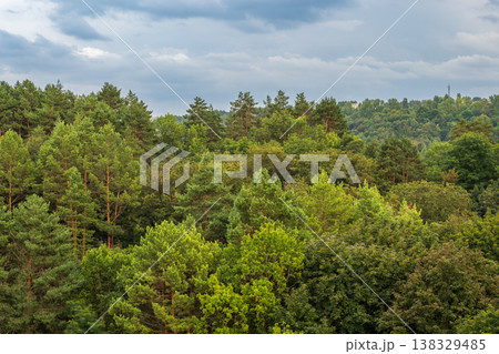 Summer Mountains Landscape with Green forest. 138329485