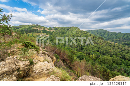 View of Kislovodsk Park and the cable car from the mountain 138329515
