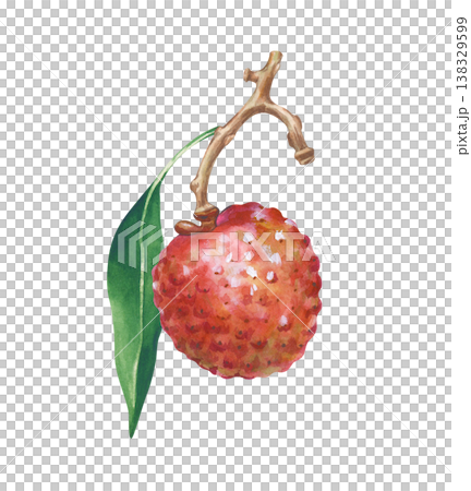 Red lychee fruit on a branch with green leaf, watercolor illustration isolated on white background. Element for summer food or drink design. 138329599
