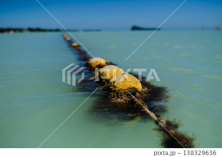 Floating buoy line in turquoise sea. 138329636
