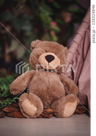 Cute teddy bear sitting on wooden bark in a cozy forest interior setting Cute teddy bear sitting on wooden bark in a cozy forest interior setting 138329846